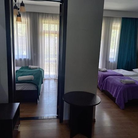 Didveli, Bakuriani Apartment Exterior photo